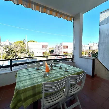 Magnolia 갈리폴리