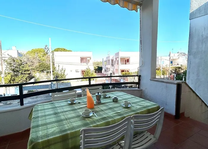 Magnolia 갈리폴리